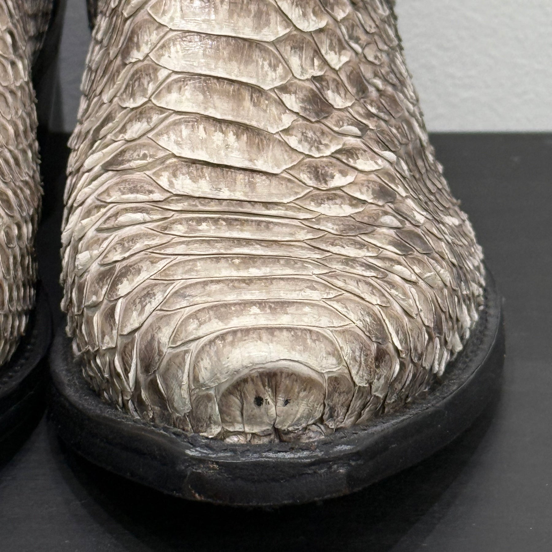 Planet Cowboy Zip Ups Snakeskin Western Boot FINAL SALE